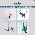 Lịch sử hình thành môn múa cột (Pole dance) 11 Tìm hiểu lợi ích của những bộ môn luyện tập trên không