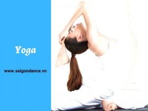 Dạy học Yoga Fitness bài bản, chuyên nghiệp TPHCM Hatha, vinyasa, yengar, birkram, ashtanga, gente, kundalini, yin yoga
