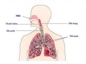 Kiểm soát hơi thở trong nhảy múa rất quan trọng 2