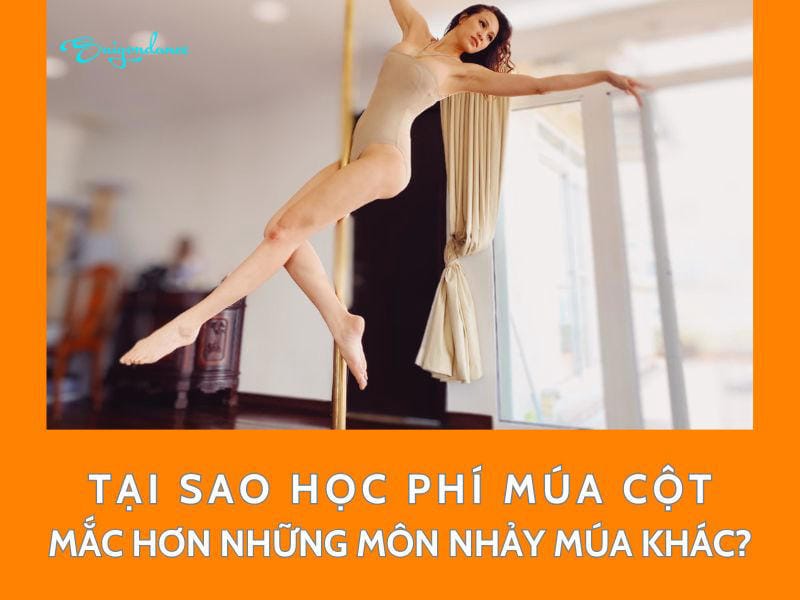 Tại Sao Học Phí Múa Cột Mắc Hơn Những Môn Nhảy Múa Khác? 8 Tại sao học phí múa cột mắc hơn